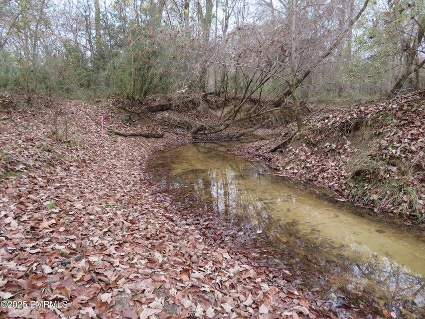 301 Co Road Heidelberg, MS 39439 - Photo 28 of 28 20251204213738431067000000-o
