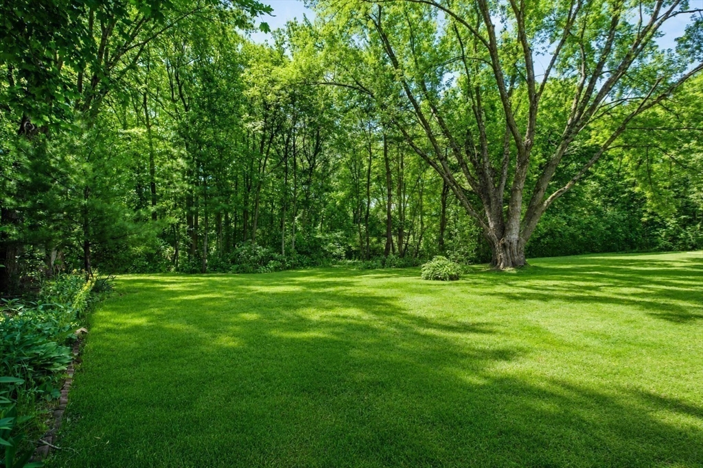 41 William Kelley Road Stoughton, MA 02072 - Photo 20 of 21