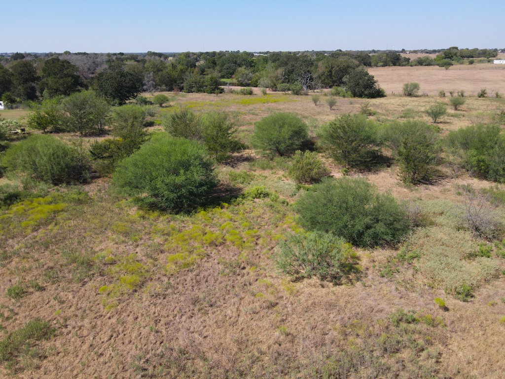 3766 Endeavor Loop Bryan, TX 77808 - Photo 7 of 8 a view of a field with trees in the background