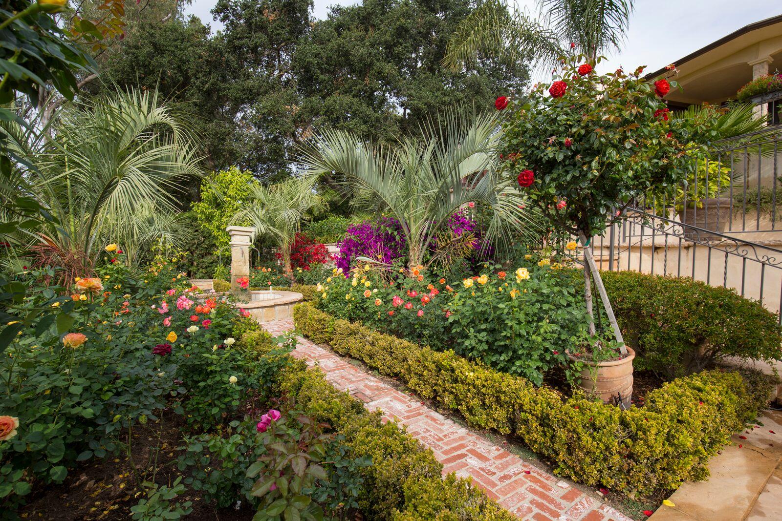 1935 East Las Tunas Road Santa Barbara, CA 93103 - Photo 21 of 28 Backyard Rose Garden