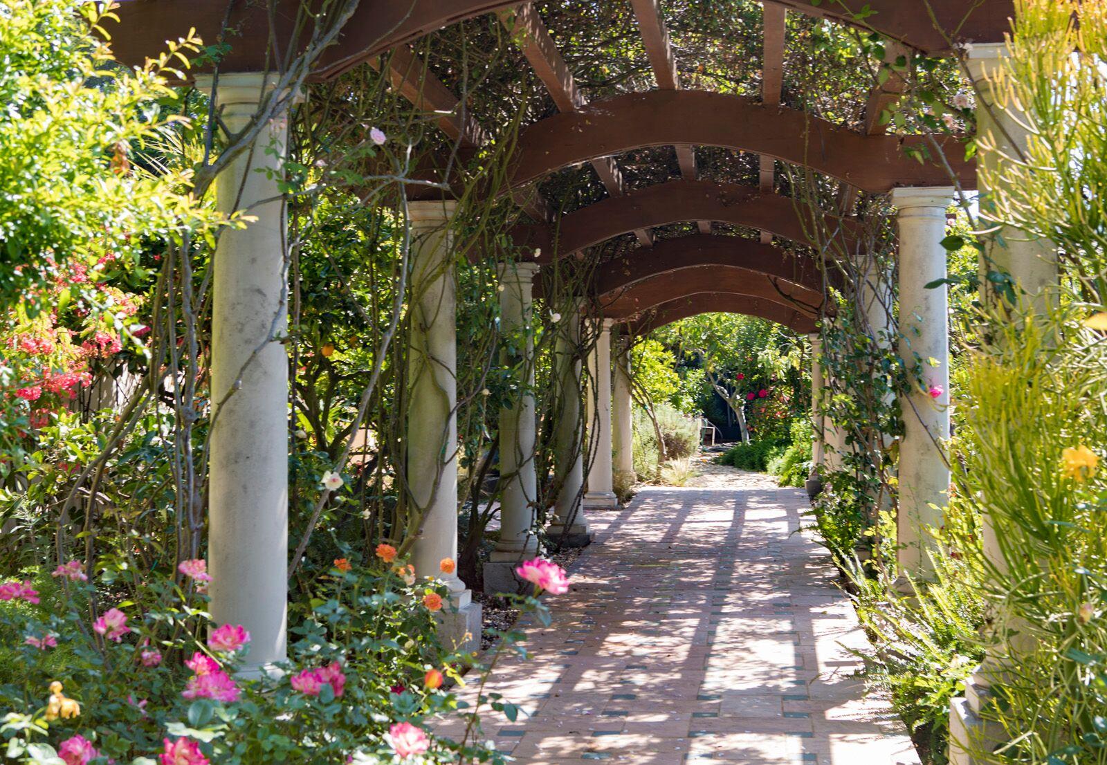 1935 East Las Tunas Road Santa Barbara, CA 93103 - Photo 23 of 28 Arbor