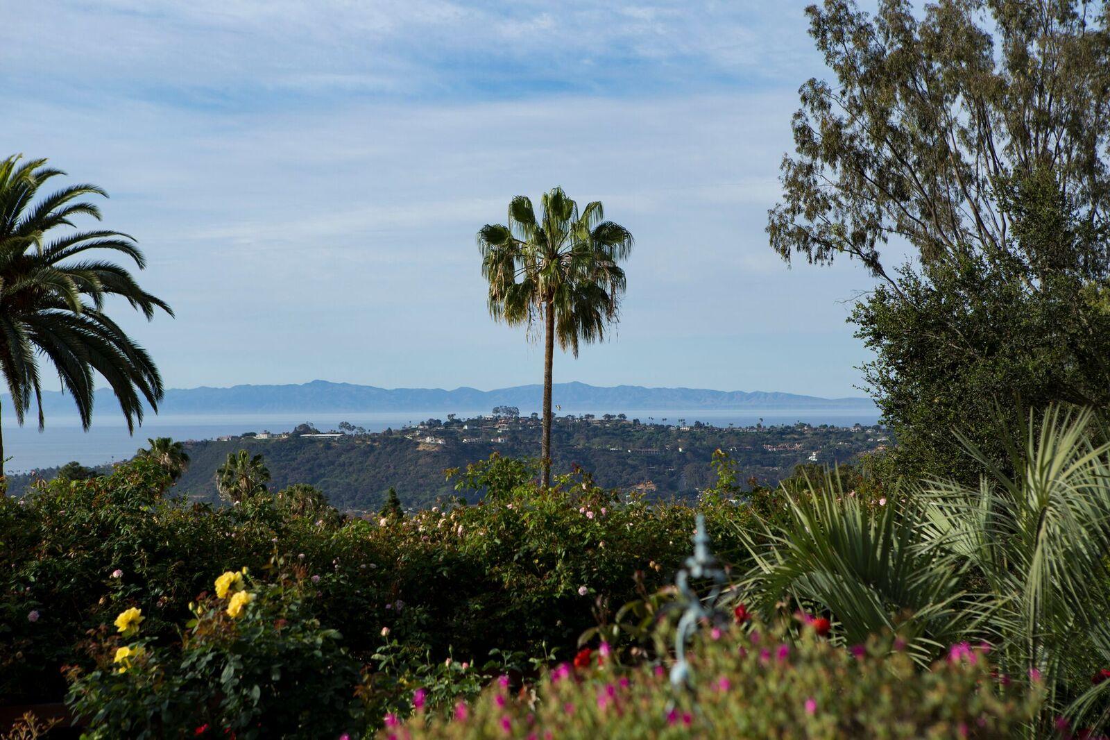 View from Living Rm