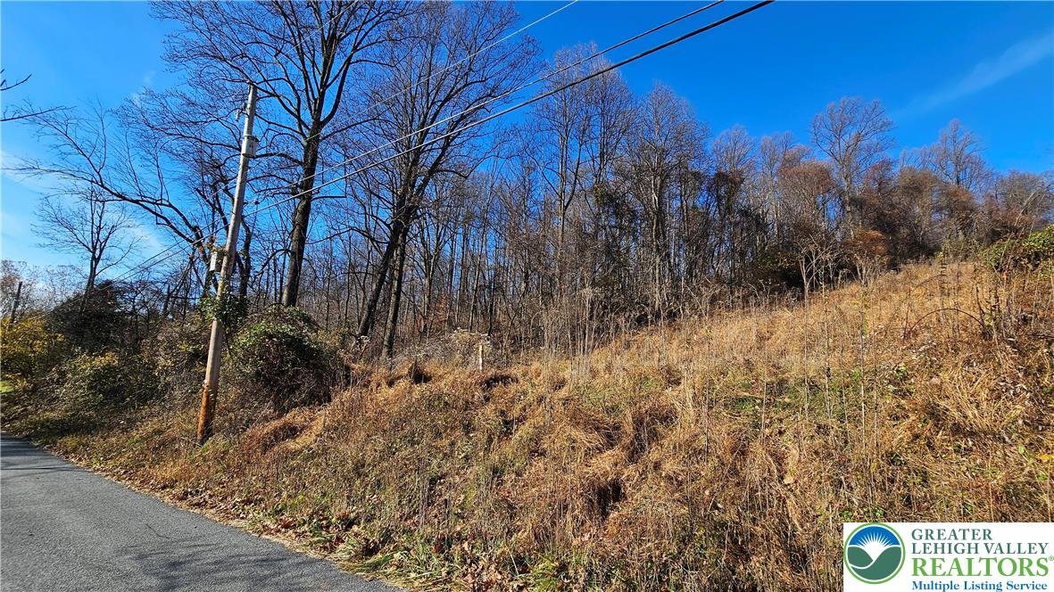 4057 Sherry Hill Road Hellertown, PA 18055 - Photo 18 of 20