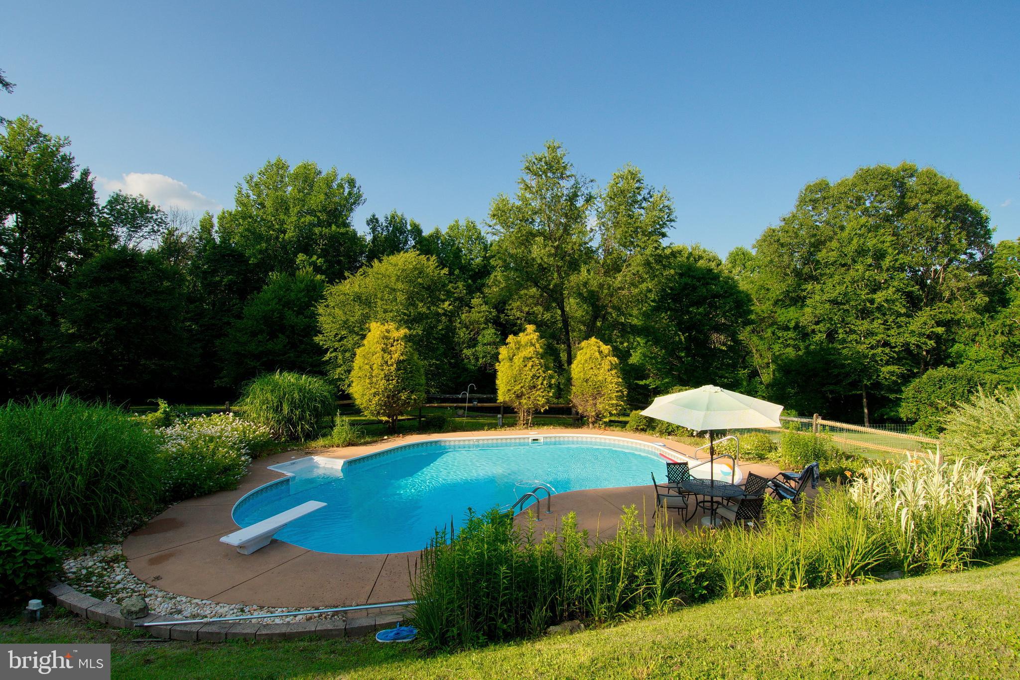 20 Bull Road Barto, PA 19504 - Photo 45 of 68 32000 gallon pool , new pump for pool vacuum