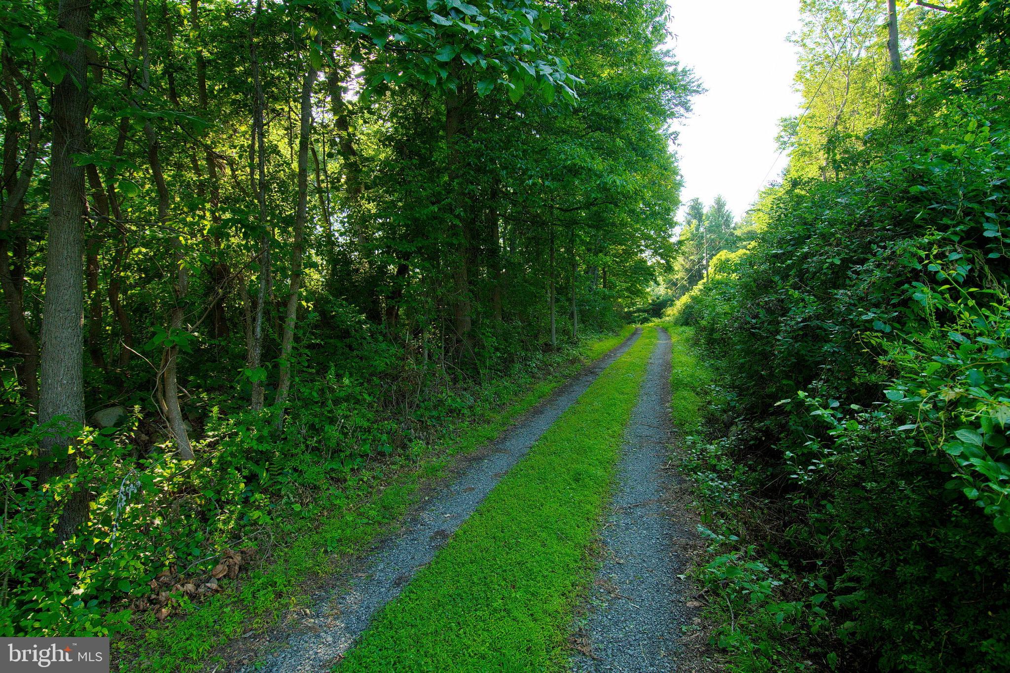 20 Bull Road Barto, PA 19504 - Photo 65 of 68 diveway
