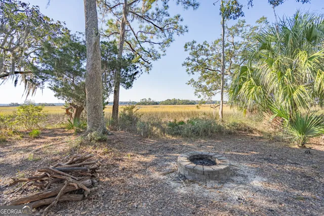 a view of a yard with an trees