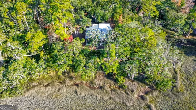 a view of a yard with plants