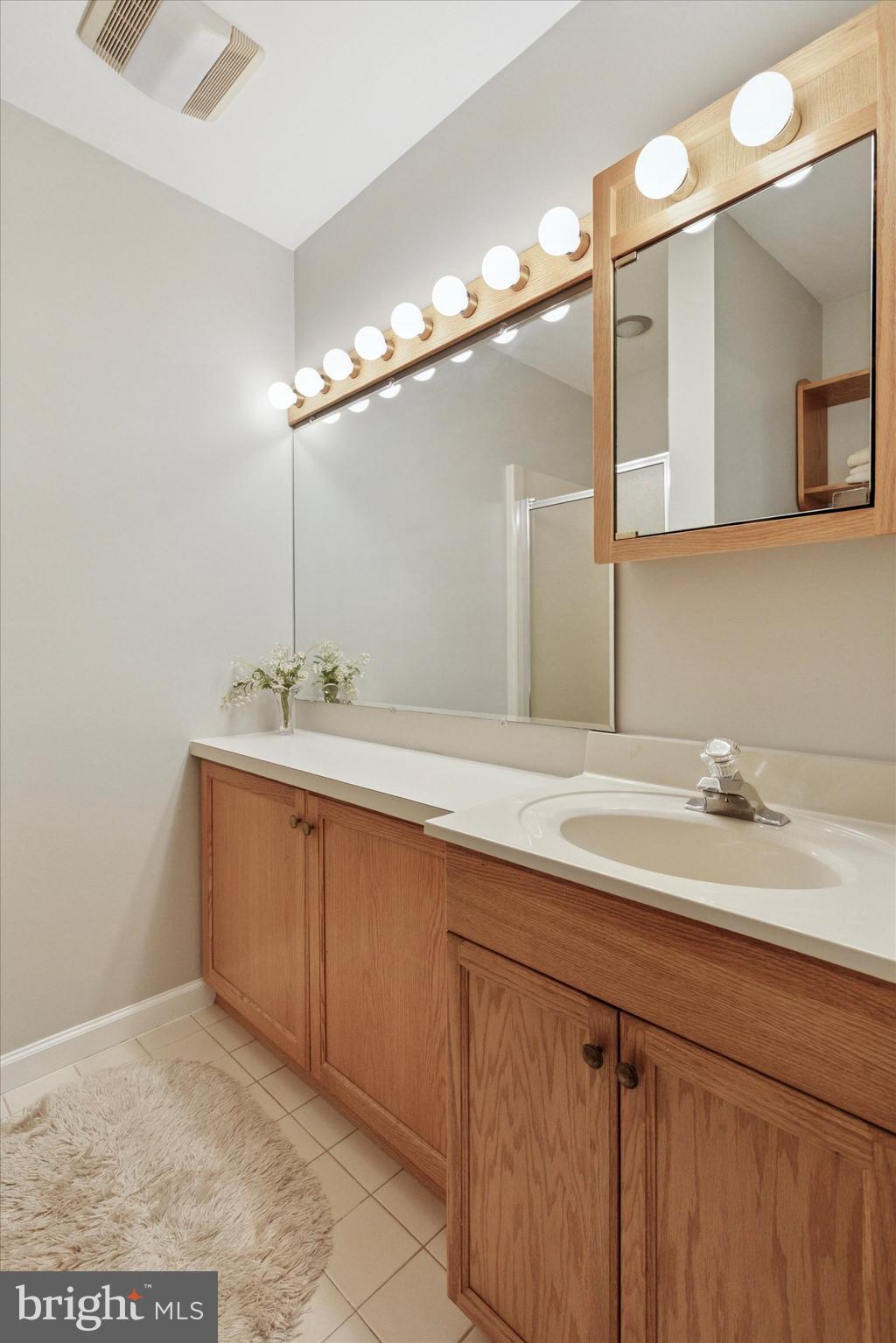 1015 Pheasant Meadow Road Blue Bell, PA 19422 - Photo 28 of 79 Bathroom with large vanity