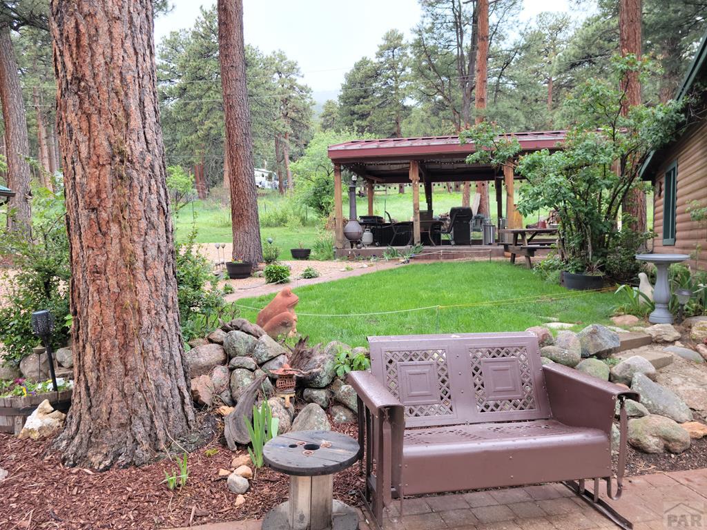 10689 Charles Lane Rye, CO 81069 - Photo 3 of 30 Gallery Image 3
