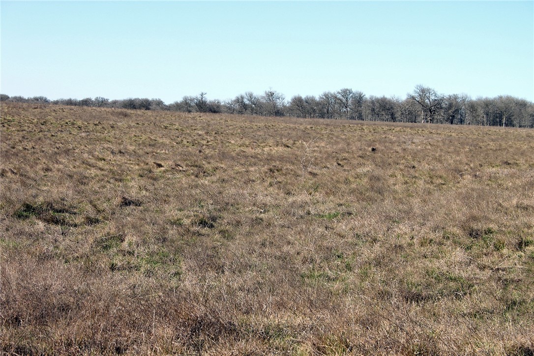 0 Old Colony Line Road Lockhart, TX 78644 - Photo 1 of 1