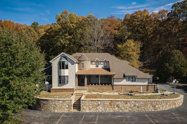 a view of a yard with a tree