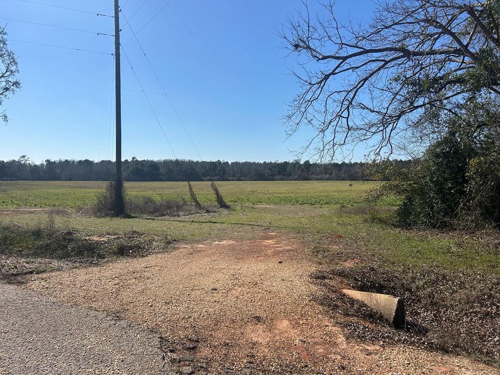 31.5-ac 31.5-ac Rammer Loop Road Dothan, AL 36301 - Photo 19 of 49