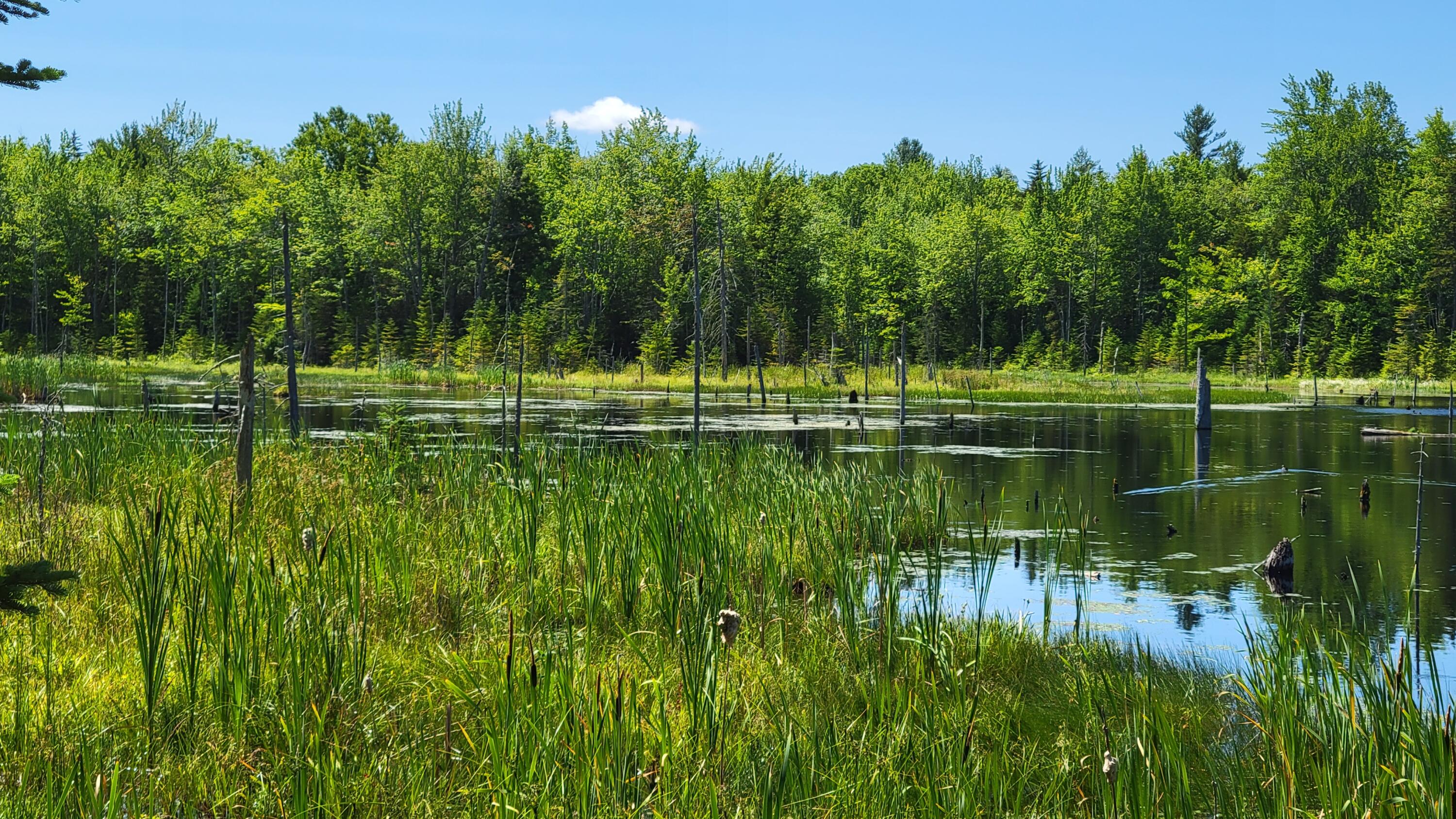 50 5 Corners Road New Sharon, ME 04955 - Photo 11 of 84 Private Pond