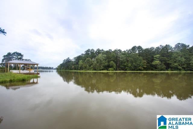2784 England Road Lincoln, AL 35096 - Photo 44 of 49