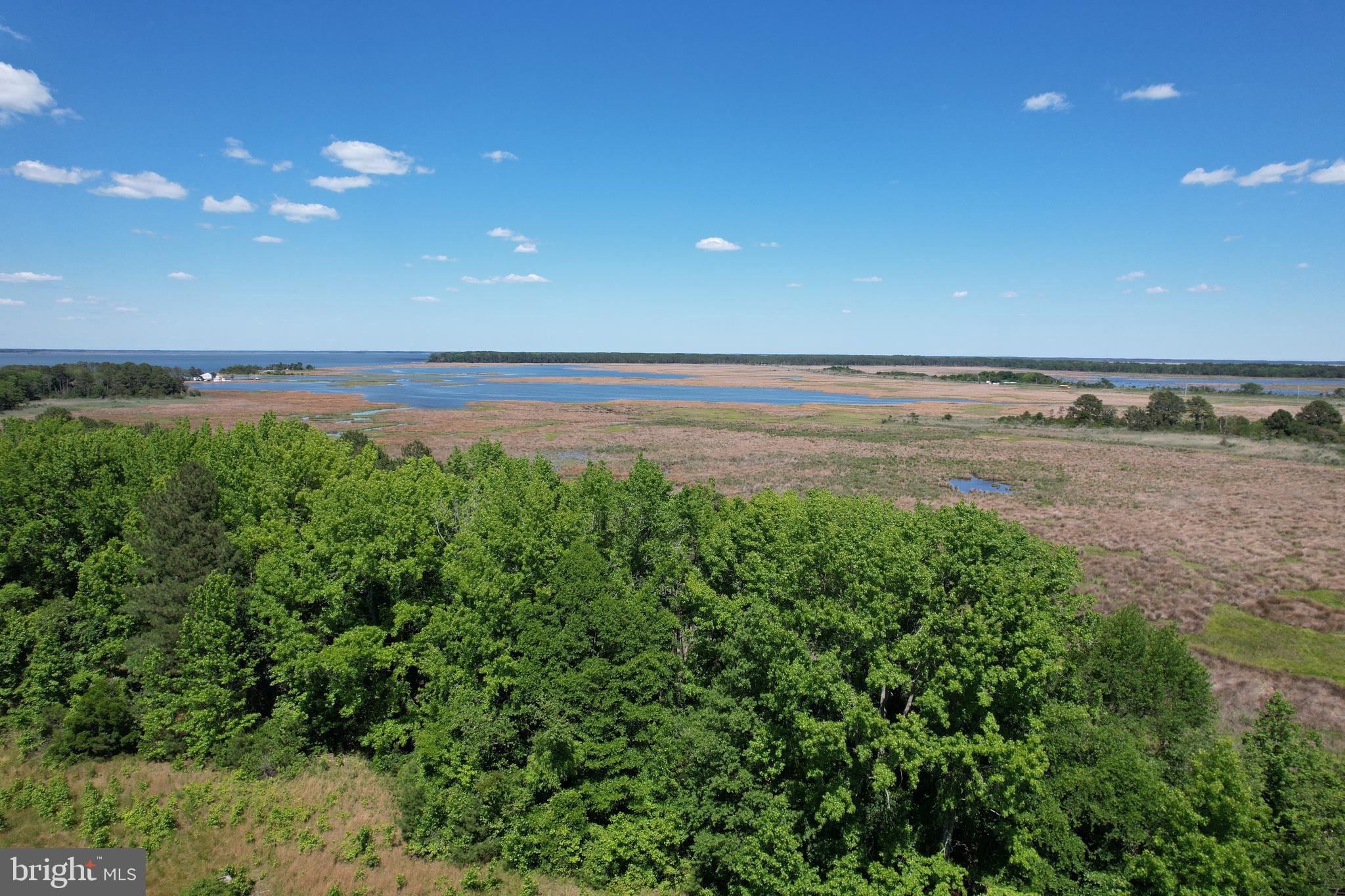 228 Fishhook Lane Deal Island, MD 21821 - Photo 3 of 10