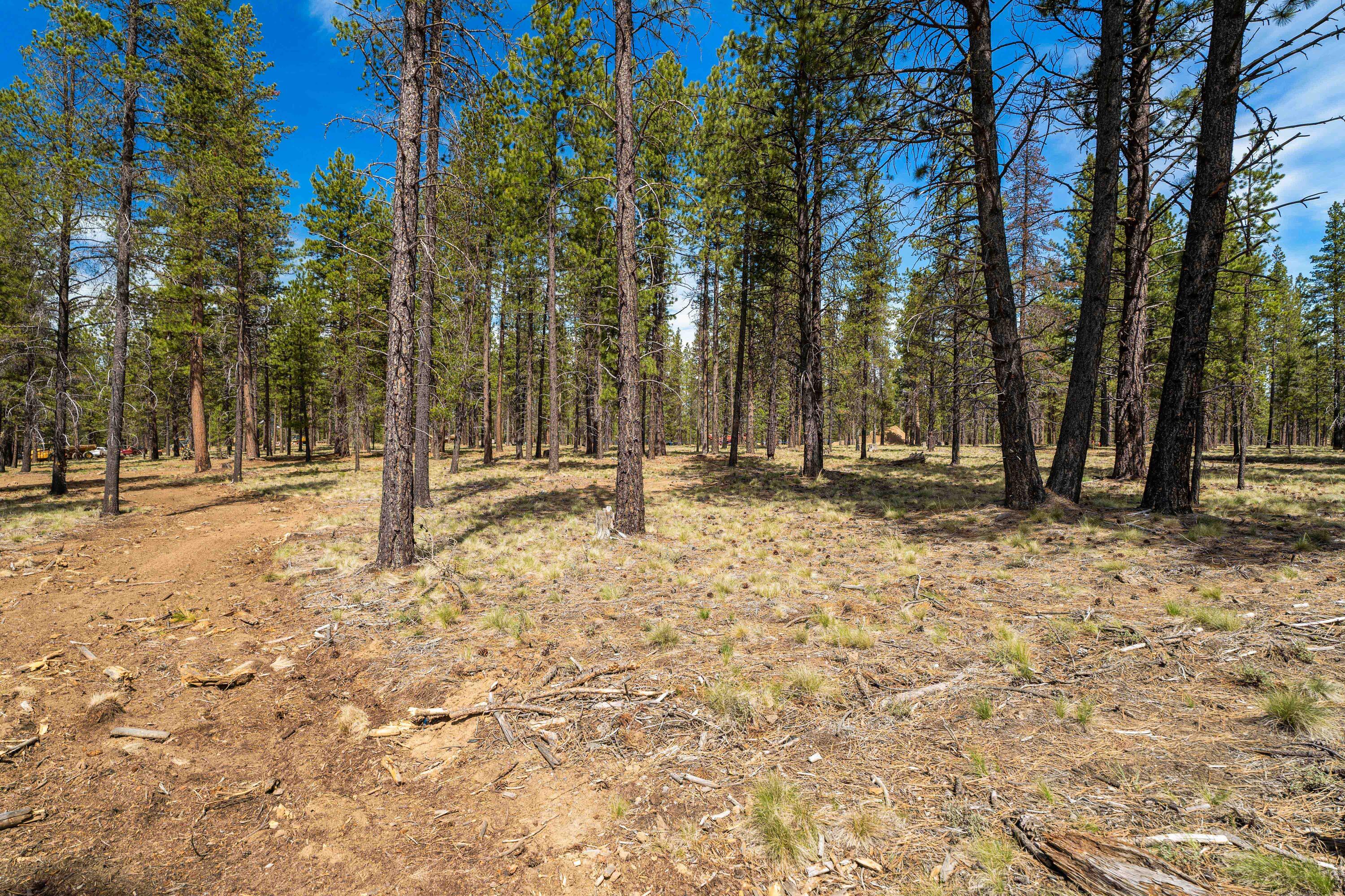 Lava Springs Loop Bend, Unit 506 Bend, OR 97707 - Photo 3 of 27 DSC07227