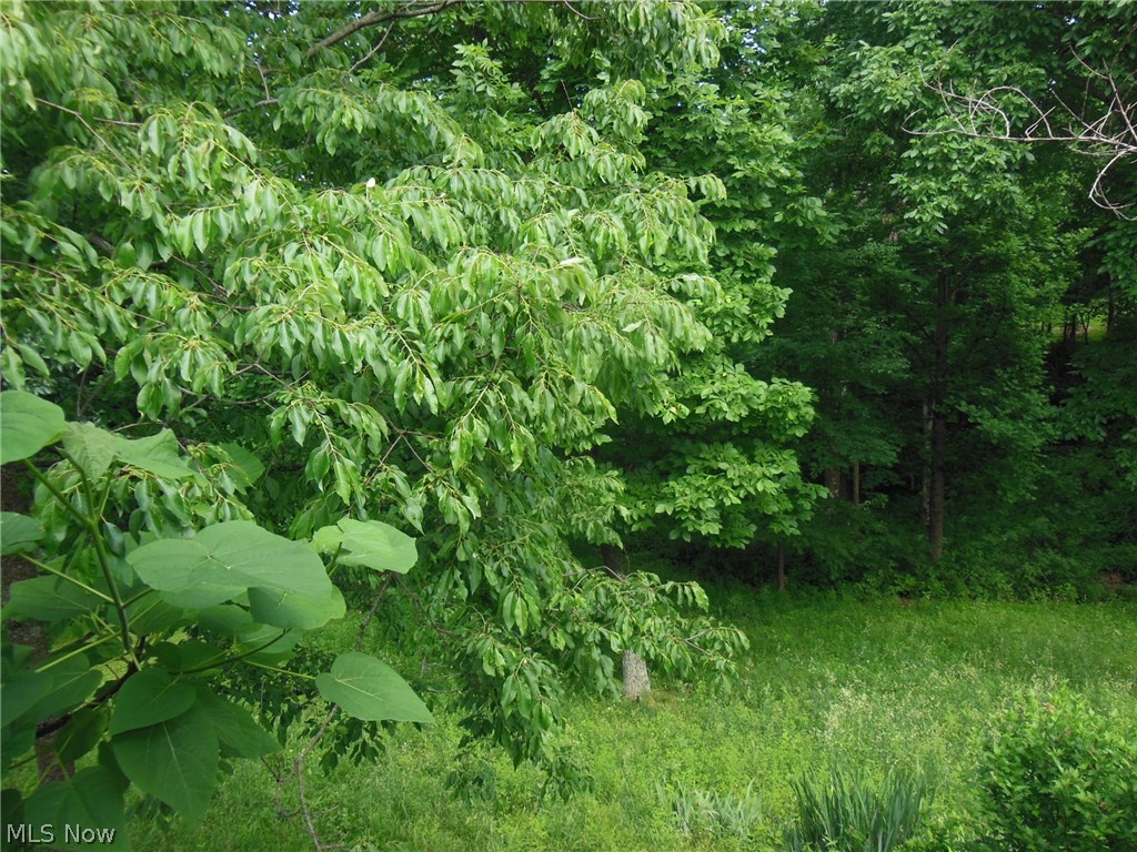 3101 Ballard Run Road Elizabeth, WV 26143 - Photo 21 of 21 It is pretty quiet back there!