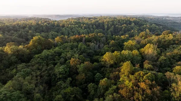 $3,995,000 | 3685 Martin Ervin Road, Santa Fe, TN 38482