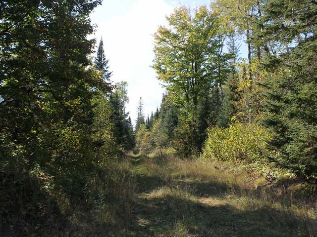 Lot 6 West Turtle Rpds Lane Presque Isle, WI 54557 - Photo 2 of 8 Gallery Image 2