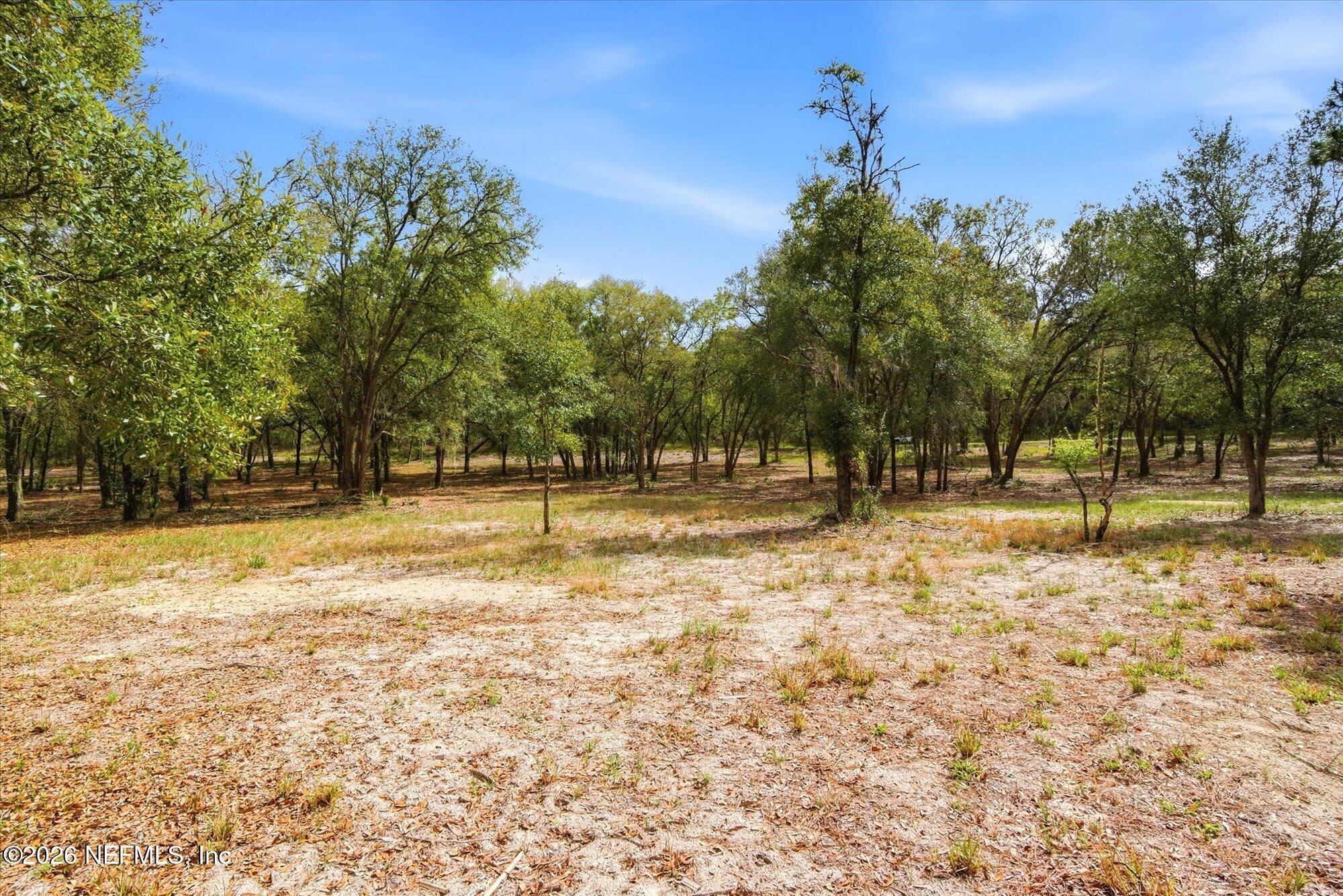 Tbd Tbd Old Welaka (parcel B) Road Satsuma, FL 32189 - Photo 11 of 26 a swimming pool with trees in the background