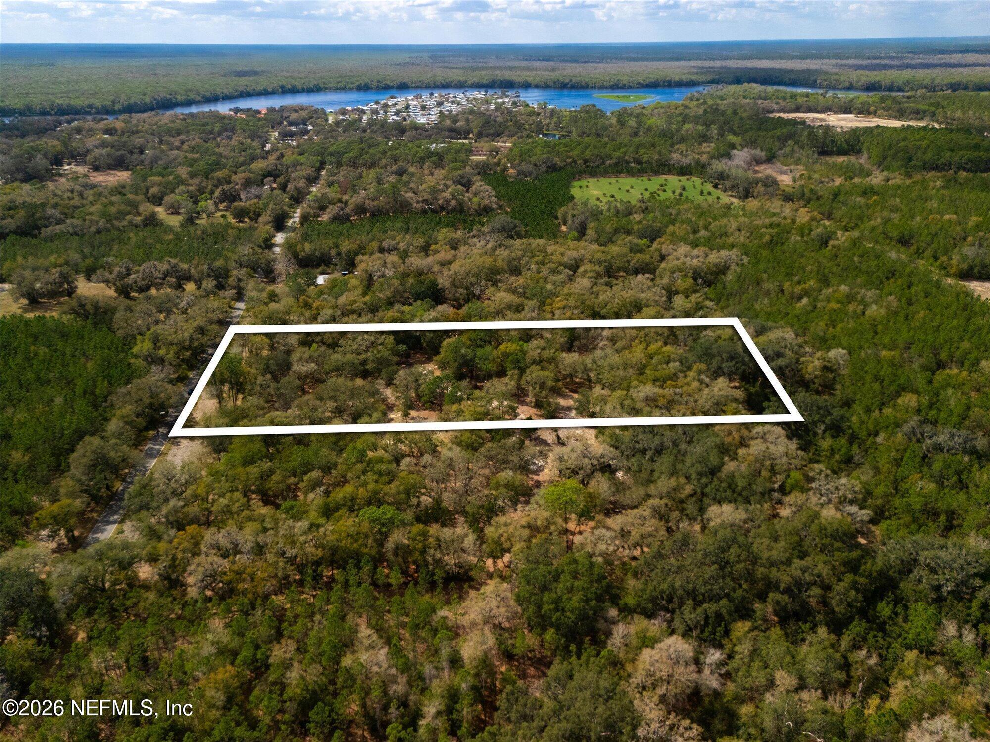 Tbd Tbd Old Welaka (parcel B) Road Satsuma, FL 32189 - Photo 13 of 26 a view of a yard