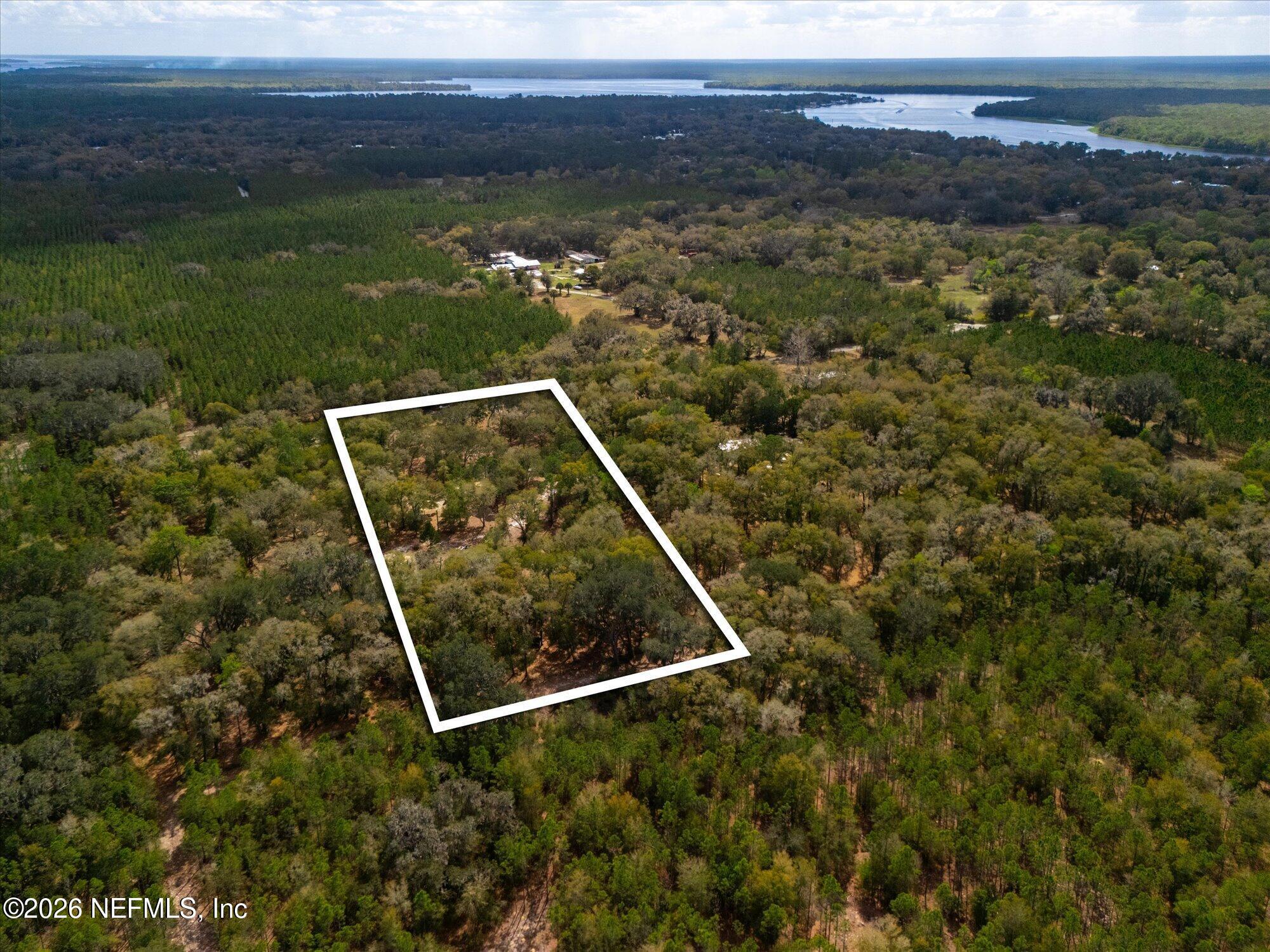 Tbd Tbd Old Welaka (parcel B) Road Satsuma, FL 32189 - Photo 16 of 26 a view of a yard