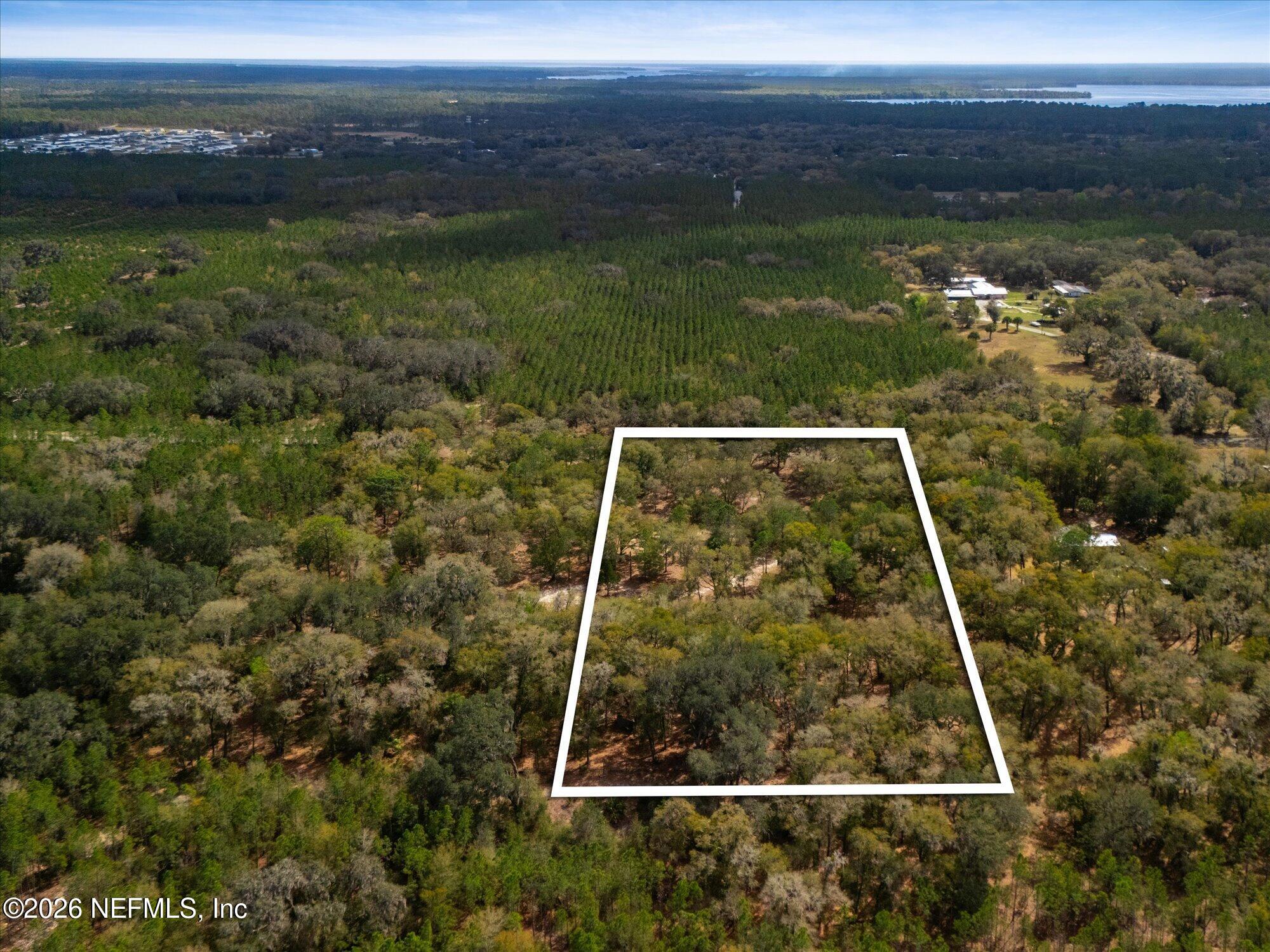 Tbd Tbd Old Welaka (parcel B) Road Satsuma, FL 32189 - Photo 17 of 26 a view of a yard