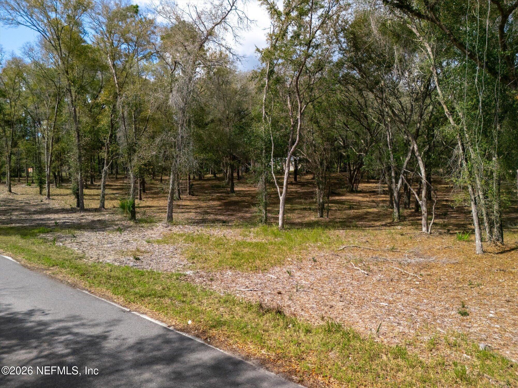Tbd Tbd Old Welaka (parcel B) Road Satsuma, FL 32189 - Photo 19 of 26 a backyard of a house with lots of green space