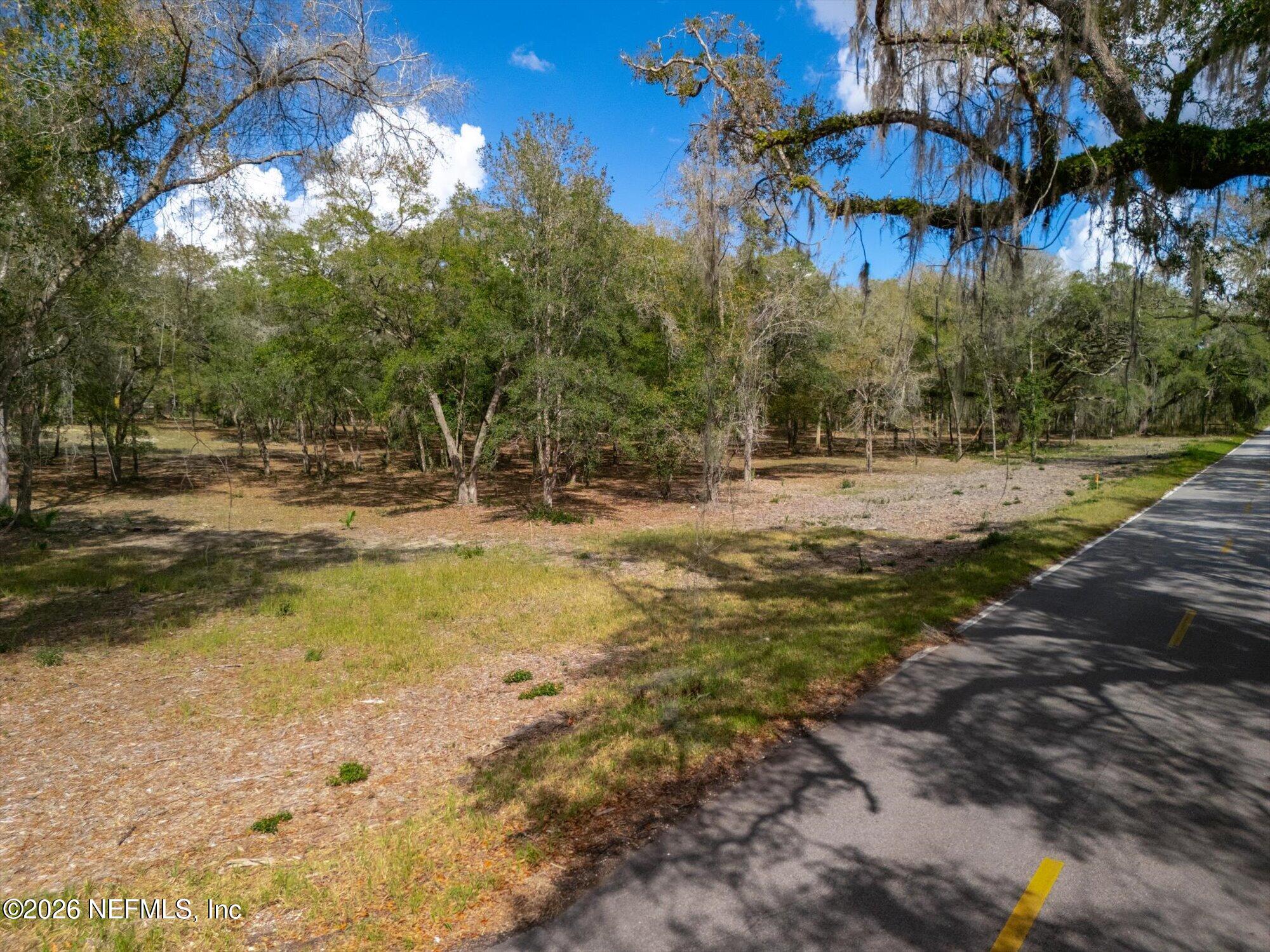 Tbd Tbd Old Welaka (parcel B) Road Satsuma, FL 32189 - Photo 20 of 26 a view of a yard with a tree