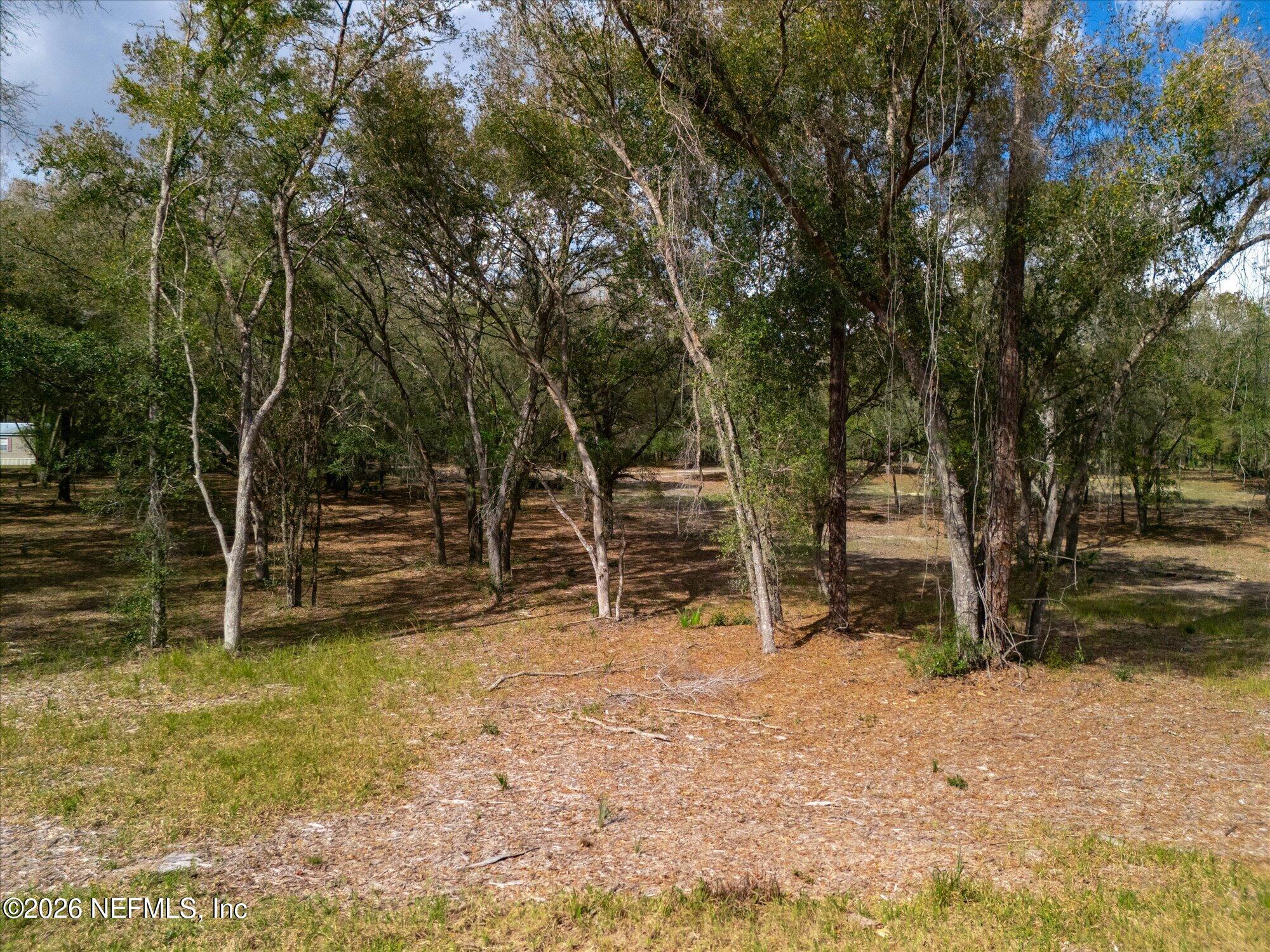 Tbd Tbd Old Welaka (parcel B) Road Satsuma, FL 32189 - Photo 21 of 26 a view of a backyard with wooden fence and large trees
