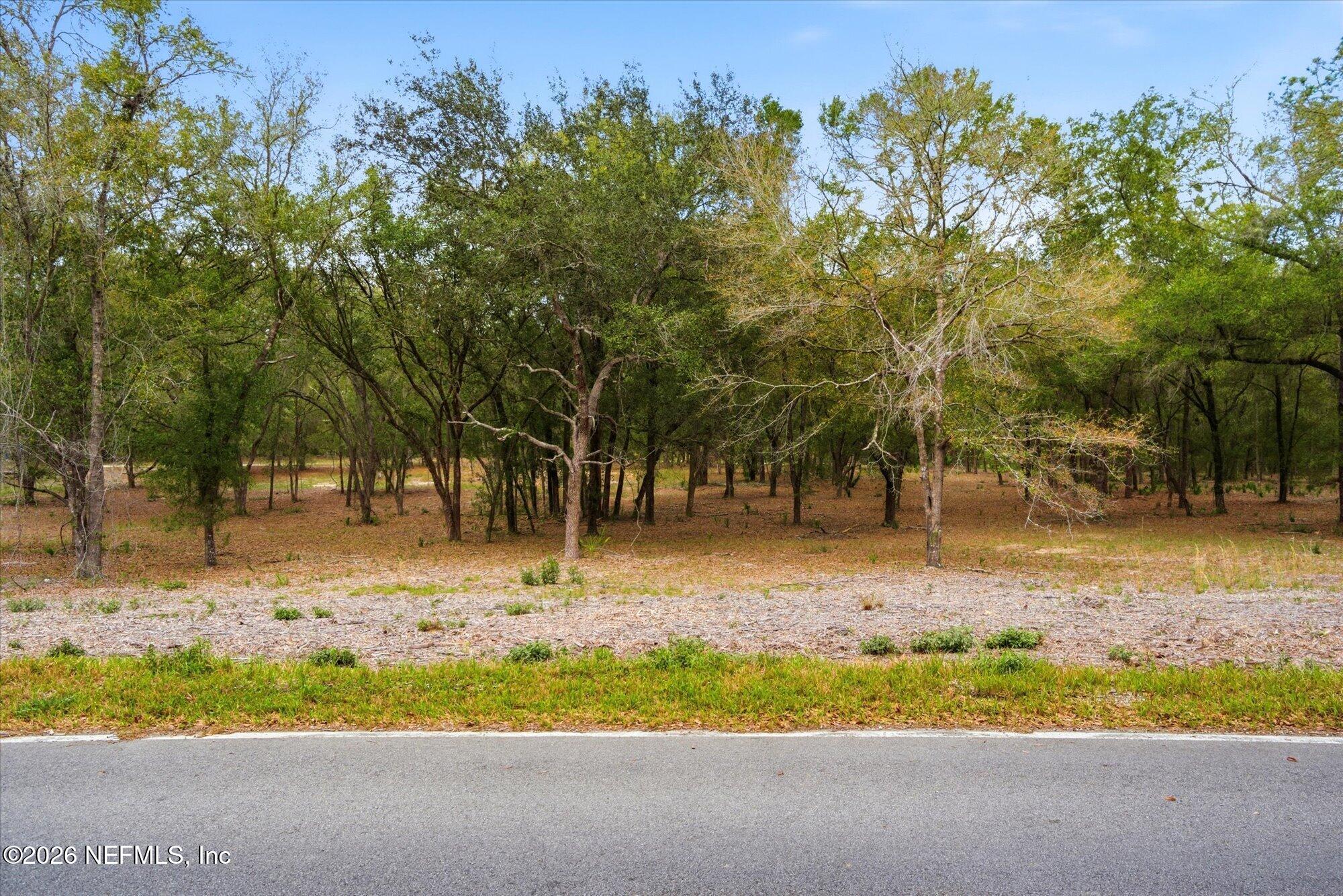 Tbd Tbd Old Welaka (parcel B) Road Satsuma, FL 32189 - Photo 24 of 26 a backyard of a house with trees and outdoor space