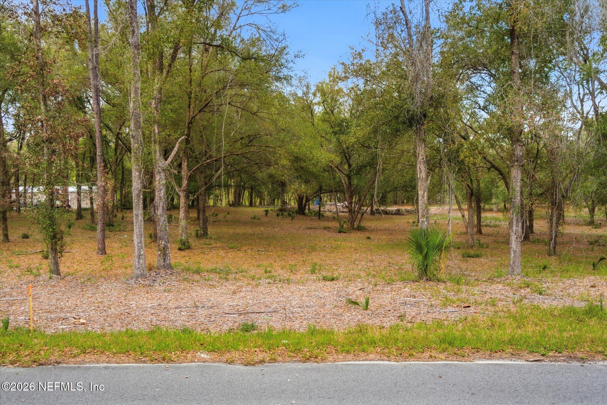 Tbd Tbd Old Welaka (parcel B) Road Satsuma, FL 32189 - Photo 3 of 26 a view of swimming pool with trees