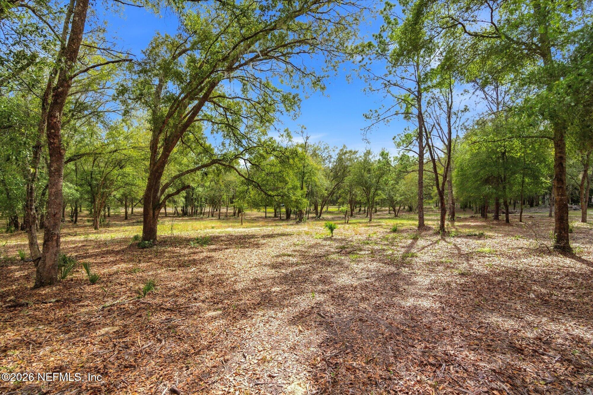 Tbd Tbd Old Welaka (parcel B) Road Satsuma, FL 32189 - Photo 4 of 26 a view of backyard with tree