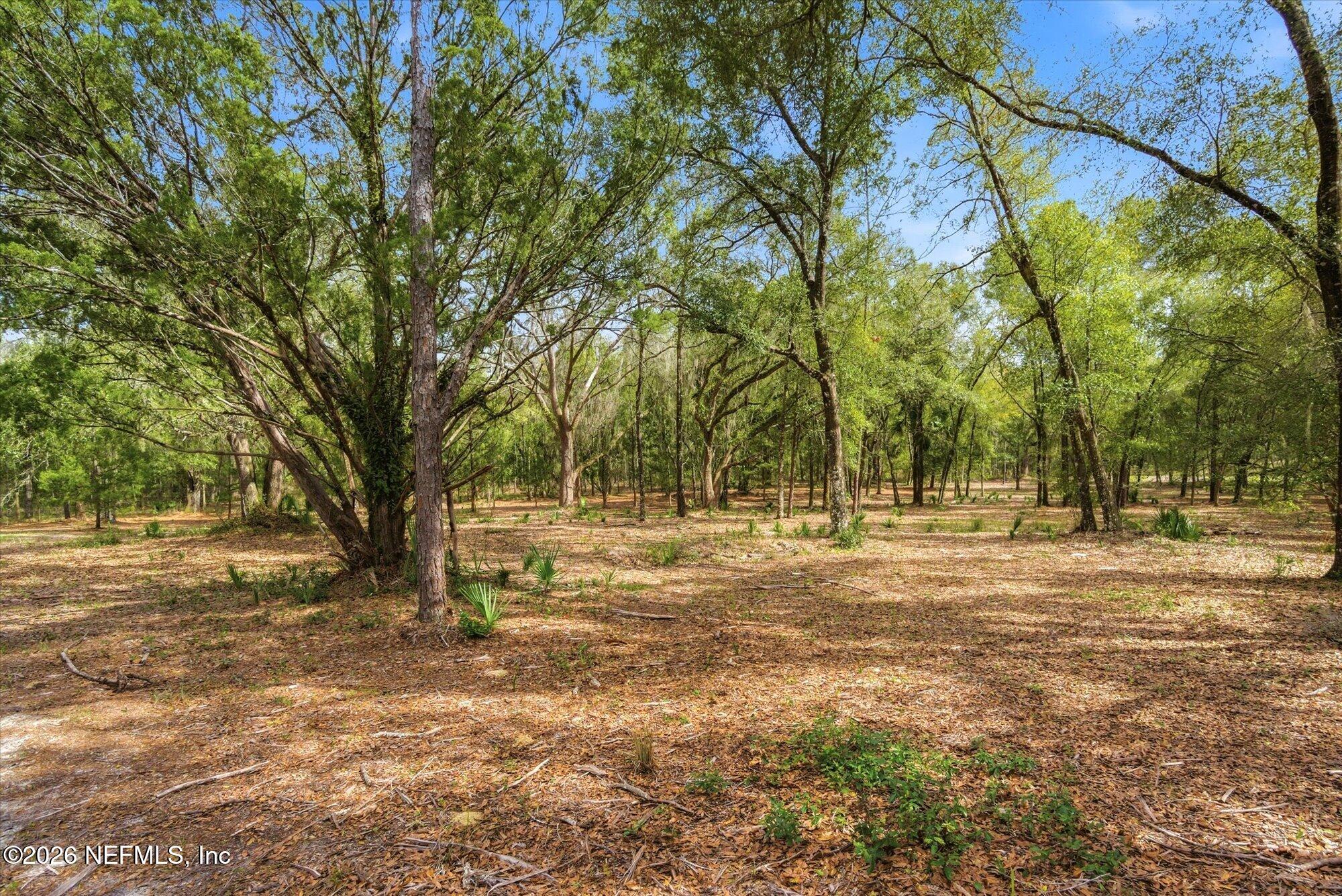 Tbd Tbd Old Welaka (parcel B) Road Satsuma, FL 32189 - Photo 10 of 26