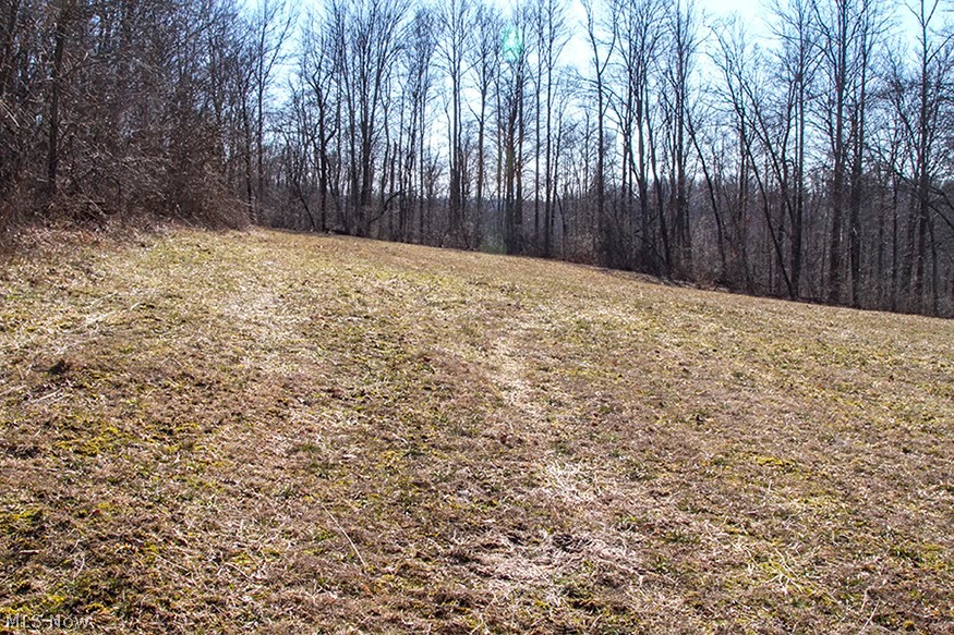 37373 Kinney Ridge Road Woodsfield, OH 43793 - Photo 5 of 29 Gallery Image 5