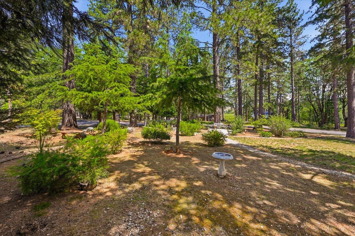 12600 Friar Tuck Road Grass Valley, CA 95949 - Photo 44 of 56 a view of road with trees