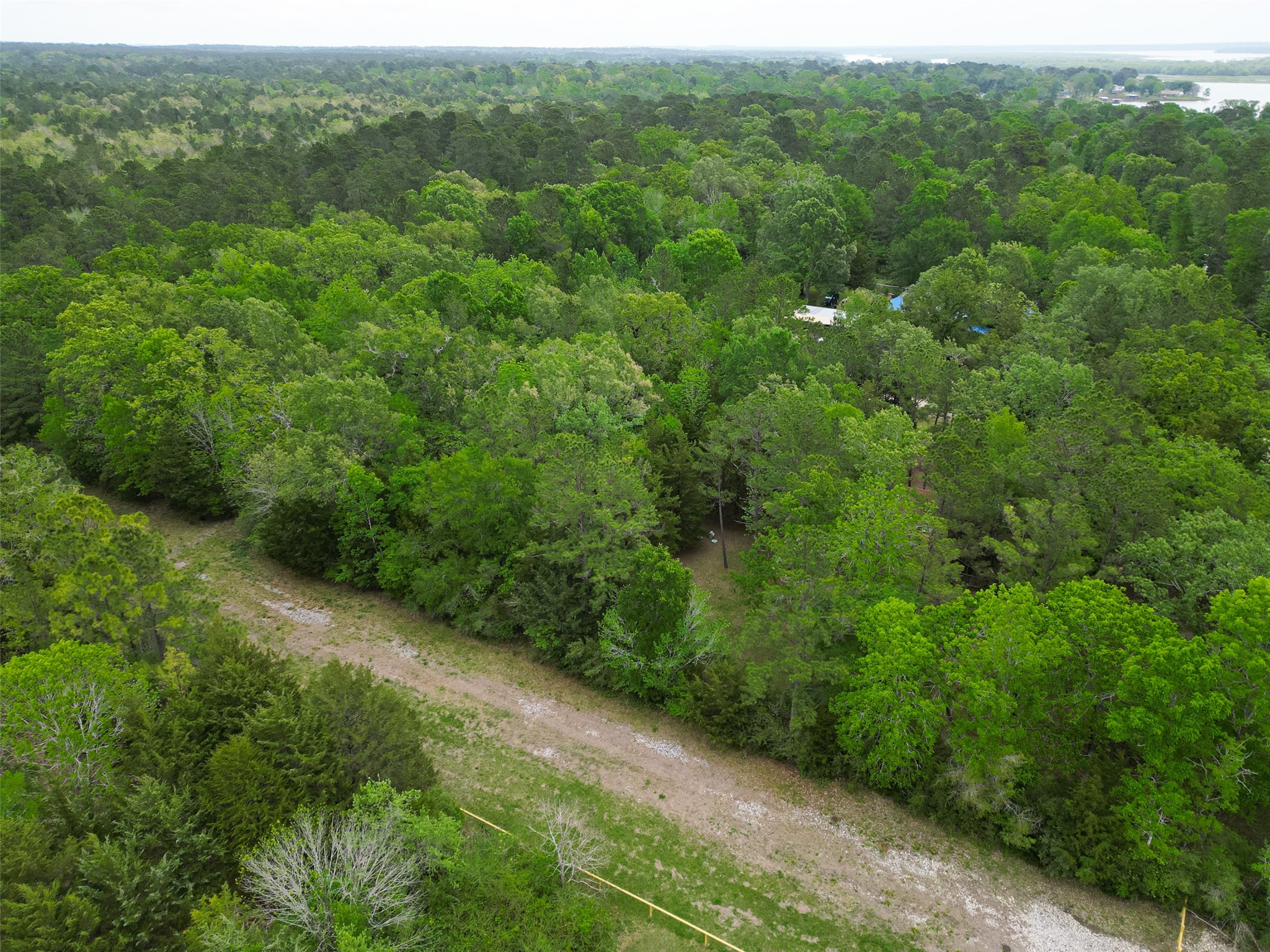 0 North Post Oak Point Trinity, TX 75862 - Photo 3 of 9