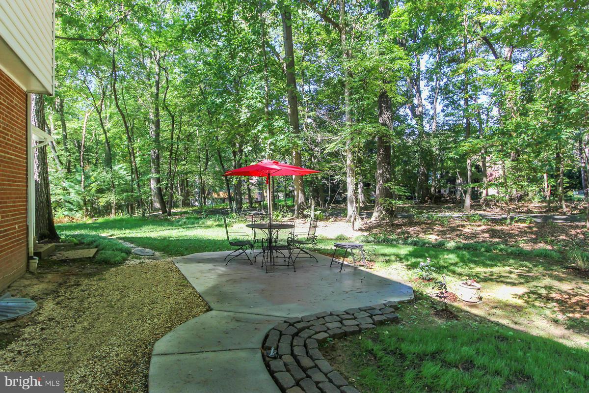 12206 Hounds Lane Reston, VA 20191 - Photo 28 of 30 Exterior (Rear)