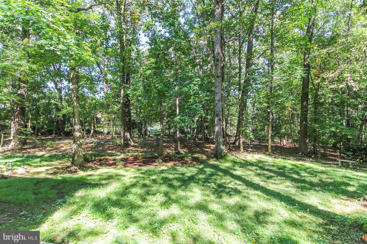 12206 Hounds Lane Reston, VA 20191 - Photo 29 of 30 Exterior (Rear)
