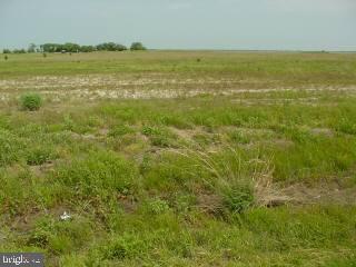 Lot # Dinges Road Berlin, MD 21811 - Photo 1 of 2