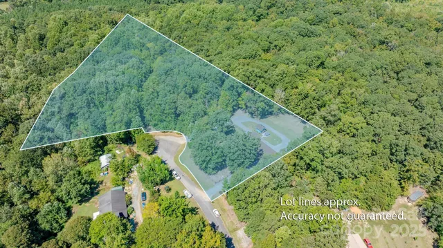 a view of a yard with a forest