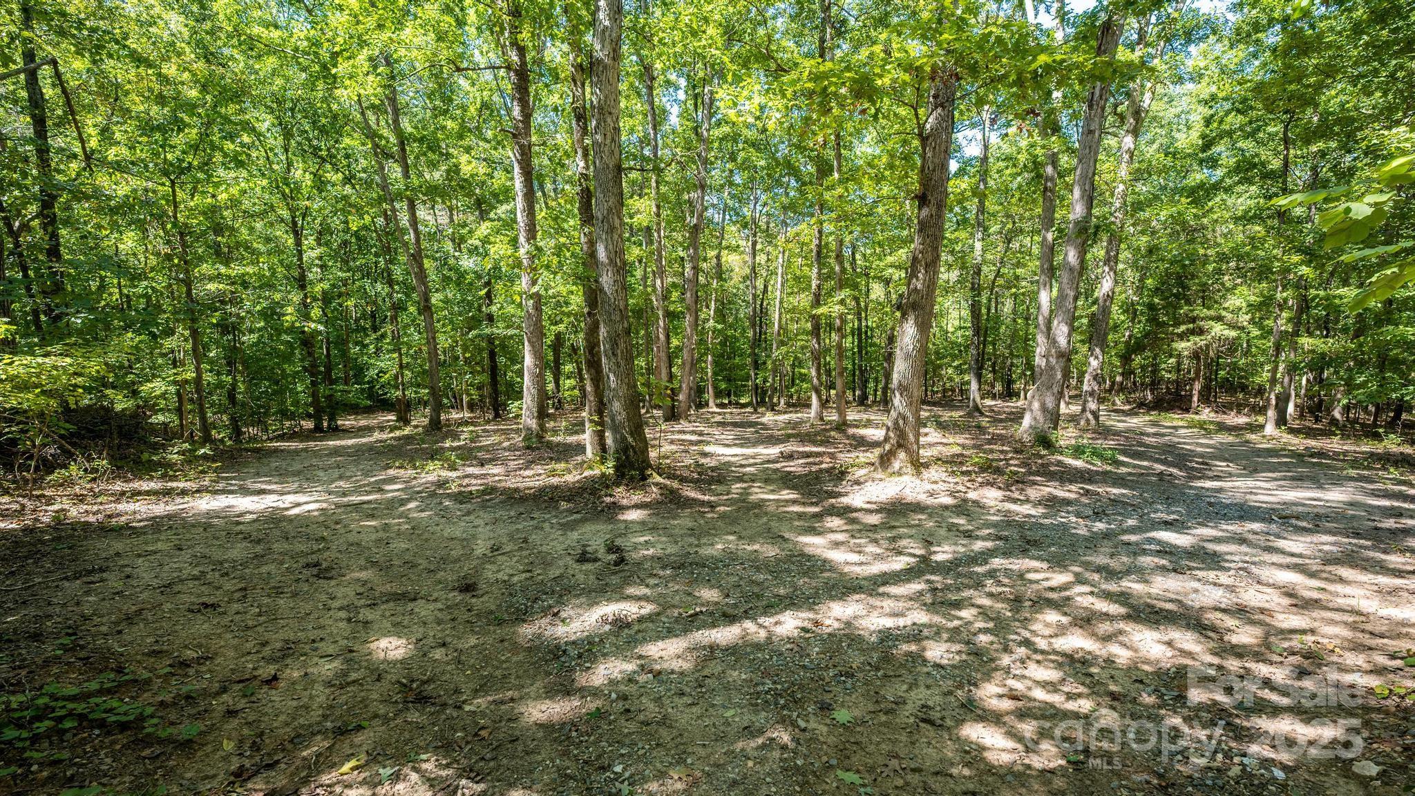 160 Clairmont Road Salisbury, NC 28146 - Photo 42 of 42 a view of outdoor space with trees