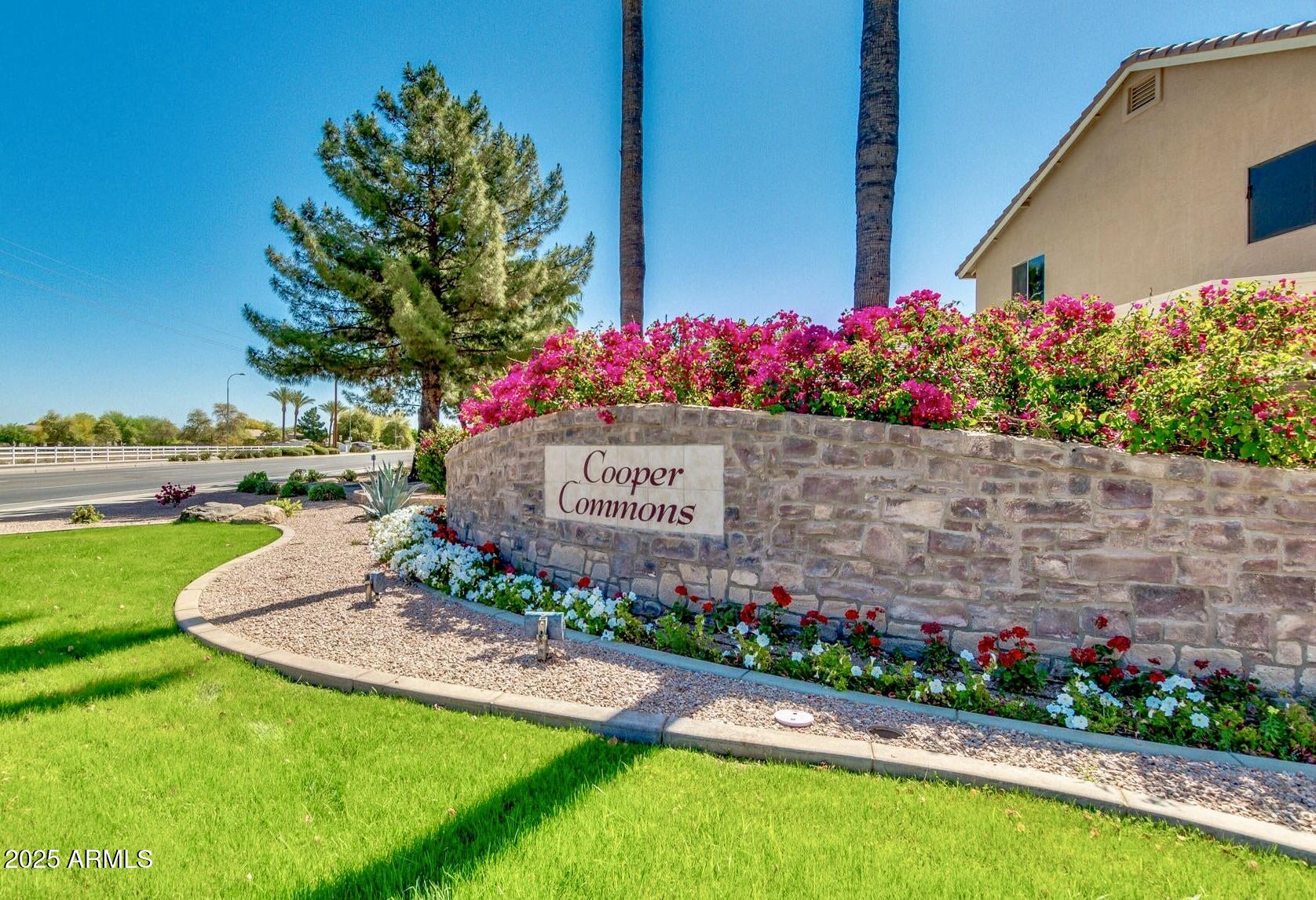 6456 South Nash Way Chandler, AZ 85249 - Photo 2 of 57 a view of a bunch of flowers and some plants