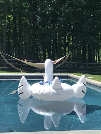 a view of swimming pool with a lounge chairs