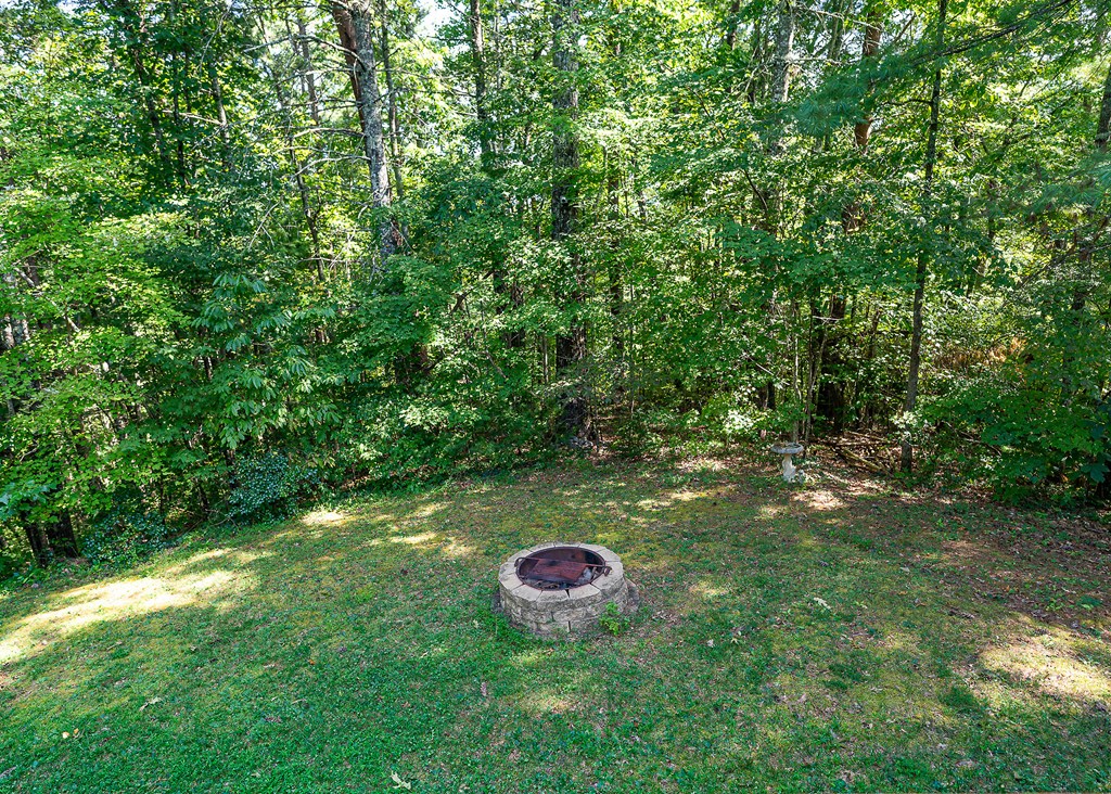 192 Fingerboard Road Reliance, TN 37369 - Photo 40 of 57 a view of a green yard