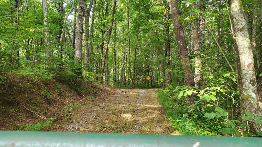 192 Fingerboard Road Reliance, TN 37369 - Photo 56 of 57 a view of backyard with green space