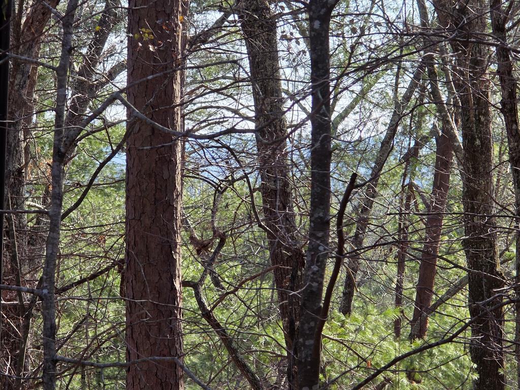 192 Fingerboard Road Reliance, TN 37369 - Photo 60 of 62