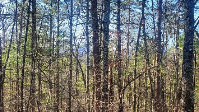 a view of backyard with green space