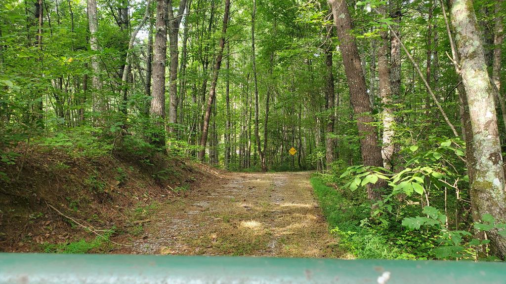 192 Fingerboard Road Reliance, TN 37369 - Photo 9 of 57 a view of backyard with green space