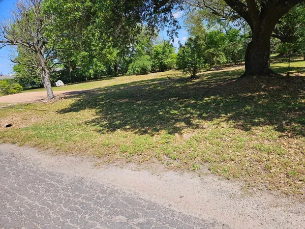 a view of a yard with a tree